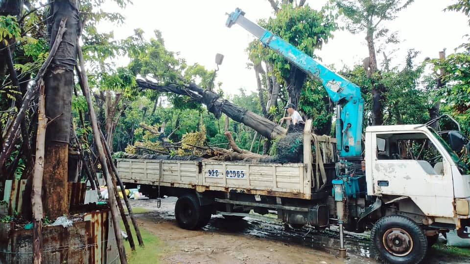 Đặc tả thi công